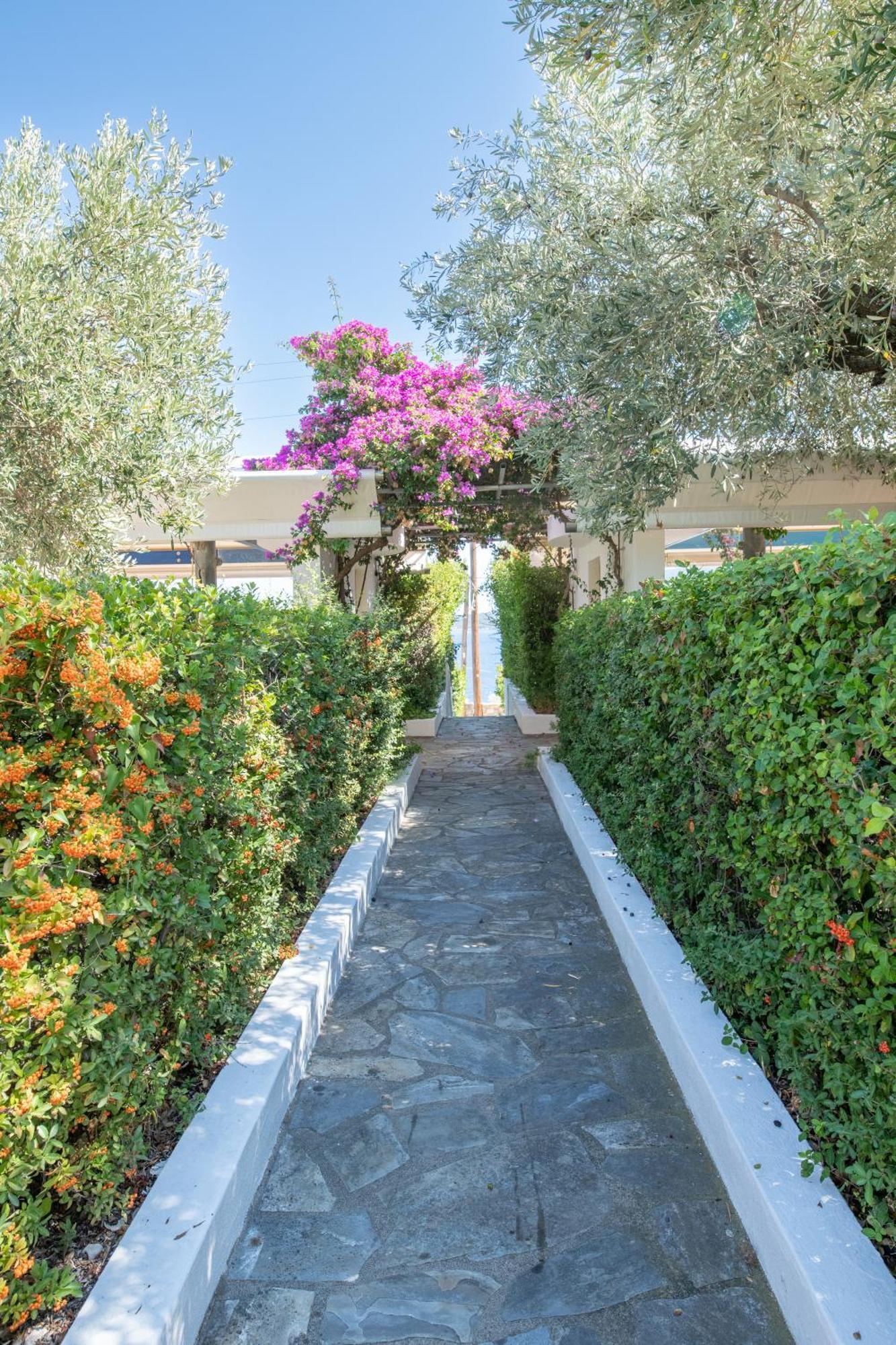 Elea Villas Steni Vala Alonissos Esterno foto