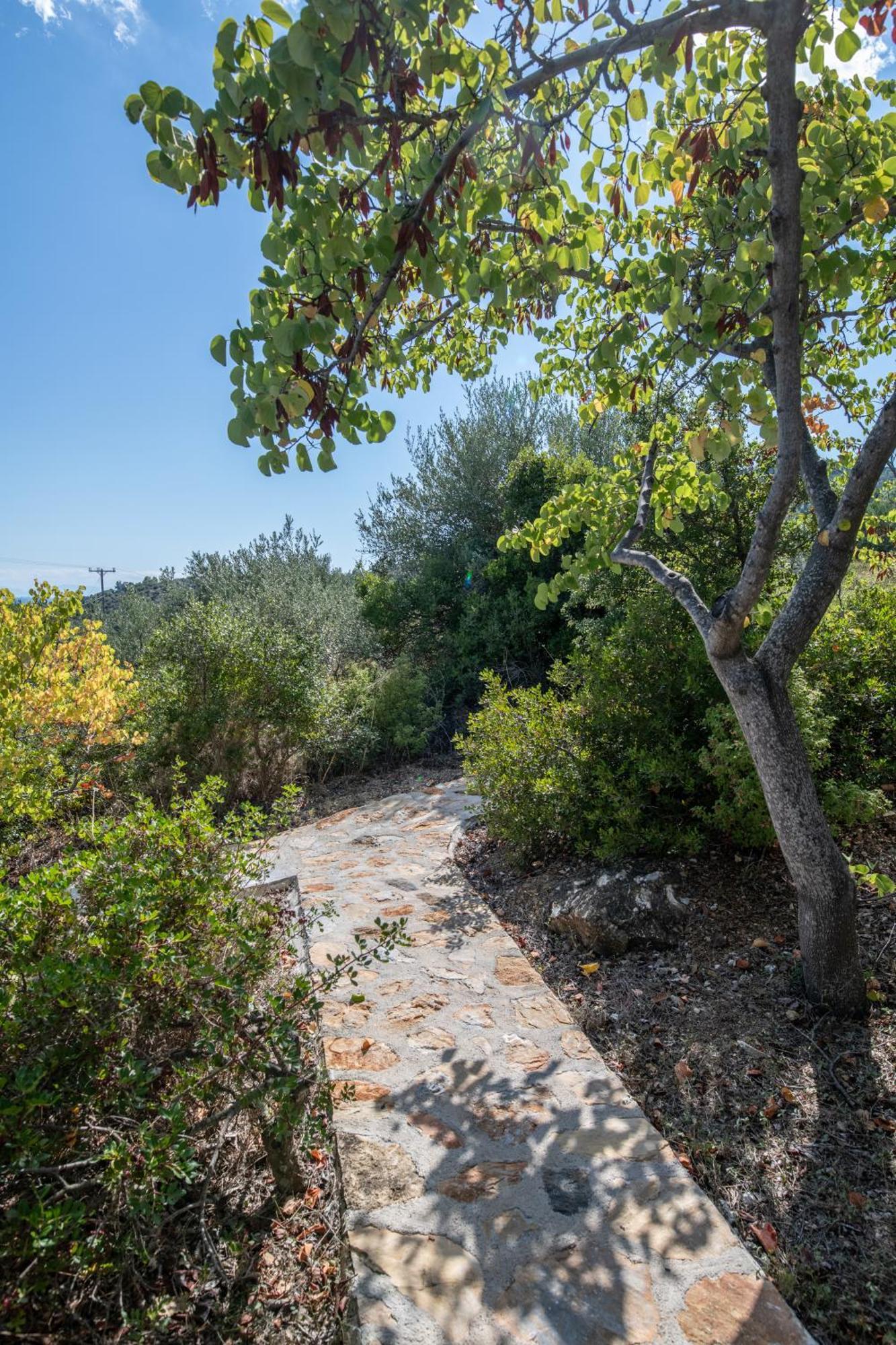 Elea Villas Steni Vala Alonissos Esterno foto